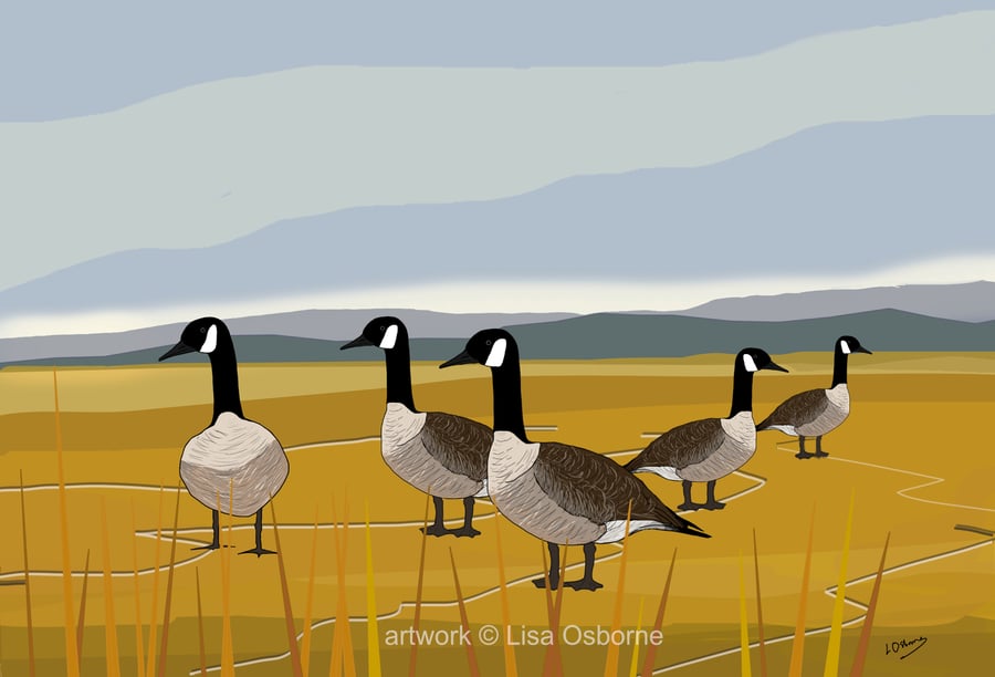 Canada geese - bird art print