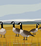 Canada geese - bird art print - Image 1