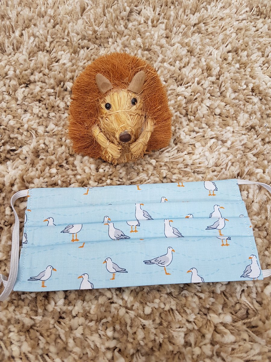 Small Adult or Teenager face covering – Seagull print