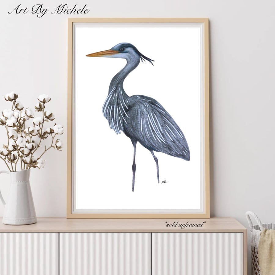 Great Blue Heron - Limited Prints - 11x14”