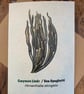Single Seaweed Greeting Card - Sea Spaghetti