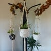 Macrame Josephine Pot Holder