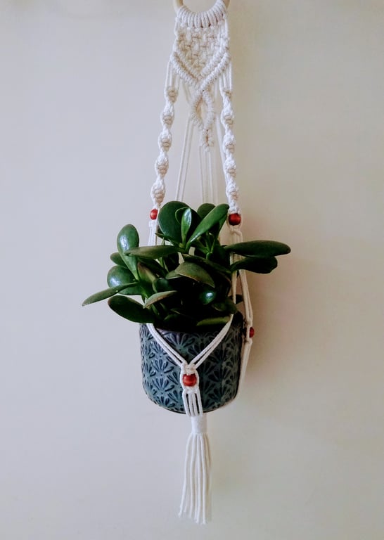 Macrame Plant Hanger Wall Decorations 