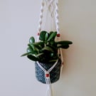 Macrame Plant Hanger Wall Decorations 