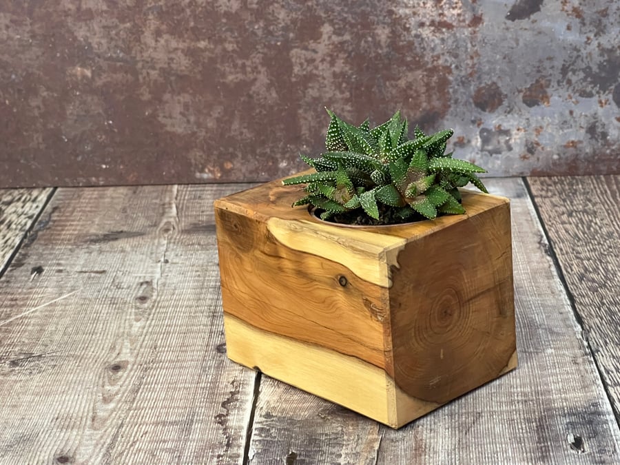 Plant Holder made from beautiful up-cycled wood