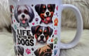 Mugs