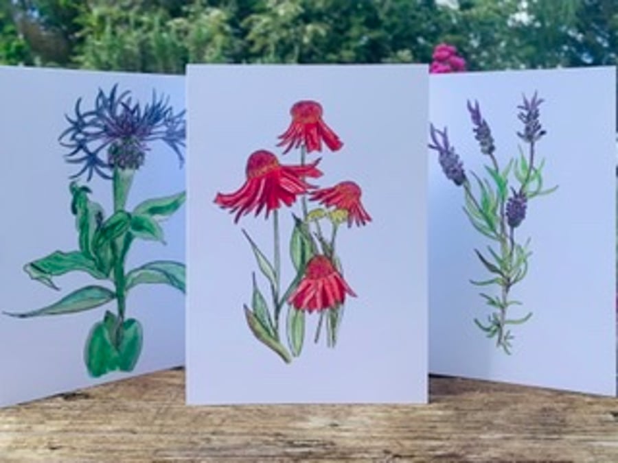 3 Botanical illustration notelets individual designs 