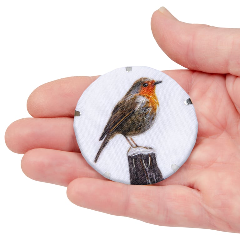 Robin brooch