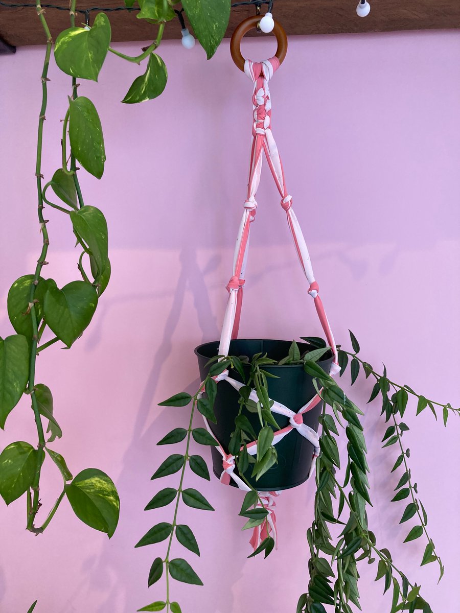 Macrame plant holder made from pre-loved sari fabric.