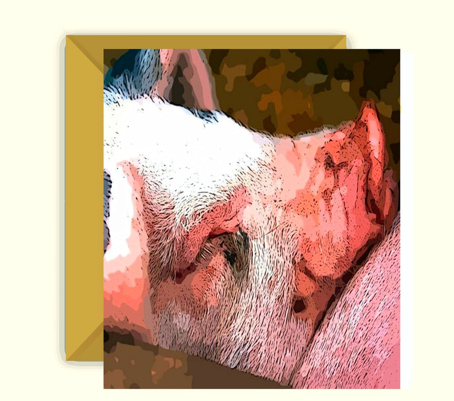 Pigs, Greeting, Birthday Card