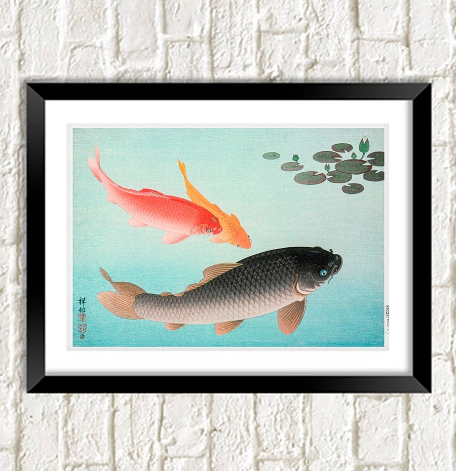 Koi Print: Common and Golden Carp Fish Art Illustration