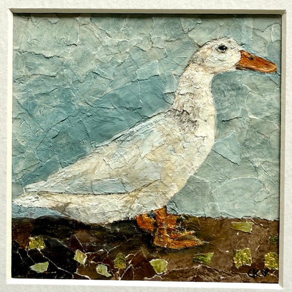Duck Collage