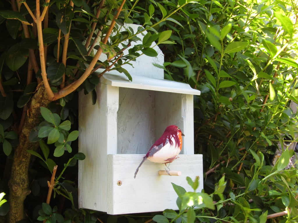 Wooden Robin Nest Box Shelf Light Green Colour Rustic Wild Bird Nesting House