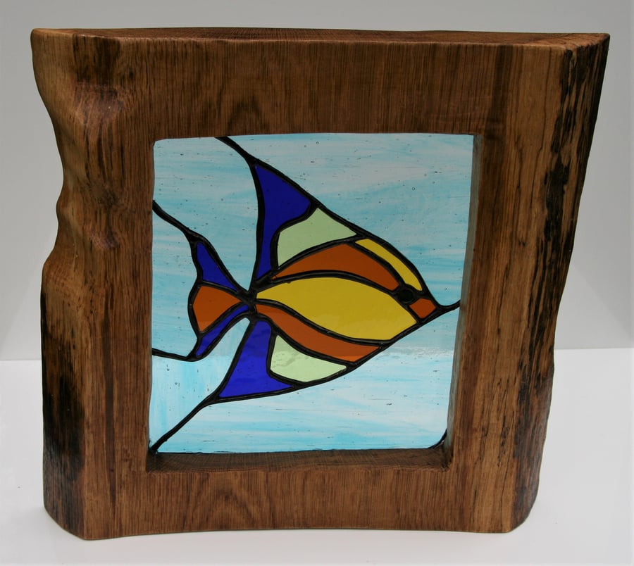 Tropical Fish Stained glass suncatcher framed in solid oak wood with live edge