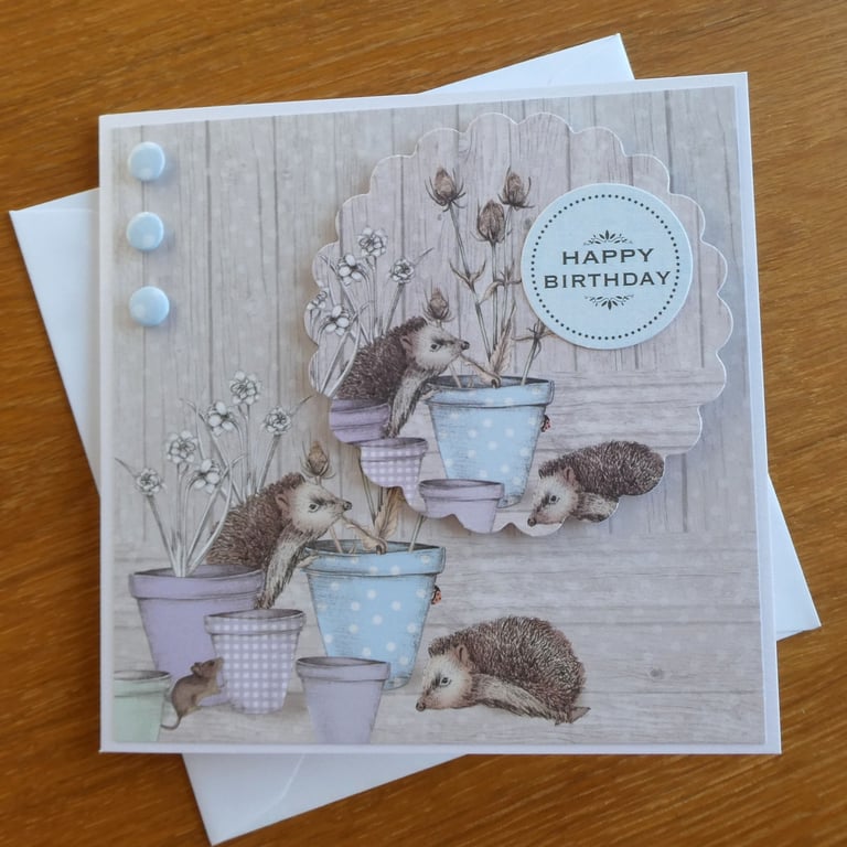 Hedgehogs and Flower Pots Birthday Card