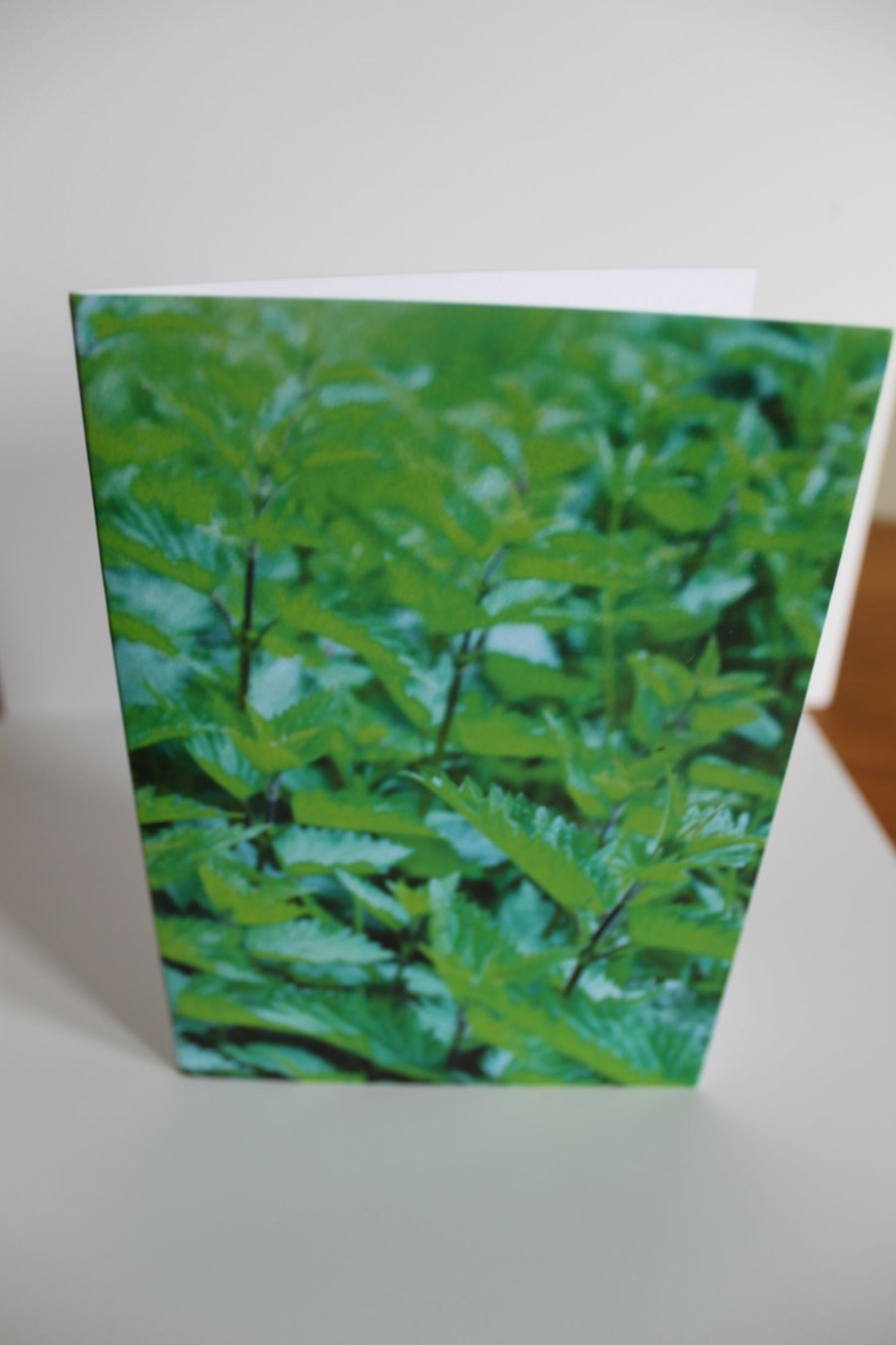 Nettles (Greeting Card)