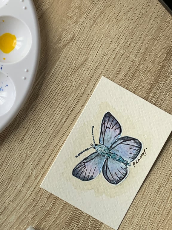 ACEO Original Watercolour Miniature British Blue Butterfly