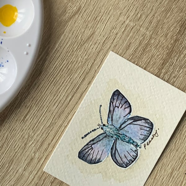 ACEO Original Watercolour Miniature British Blue Butterfly