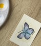 ACEO Original Watercolour Miniature British Blue Butterfly