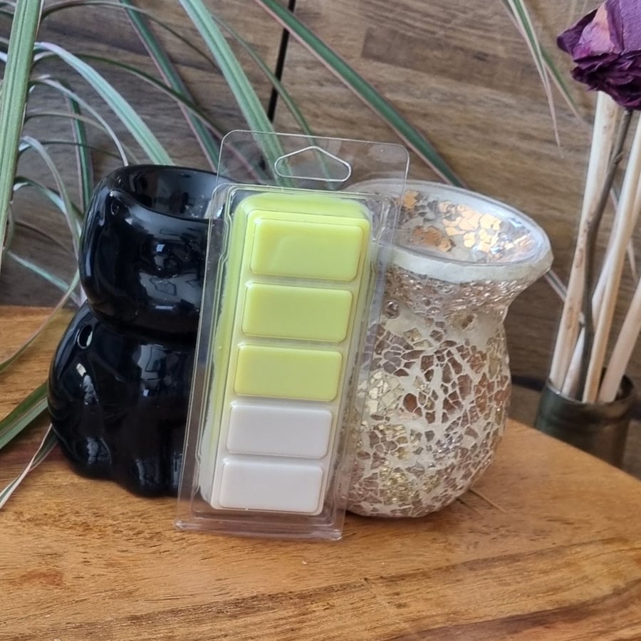 Soy Wax Melt Bar in Clamshell Pear and Freesia Fragrance 65g