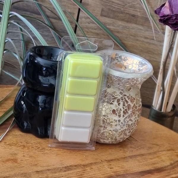 Soy Wax Melt Bar in Clamshell Pear and Freesia Fragrance 65g
