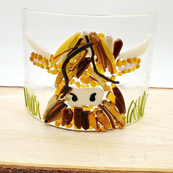 'Highland Coo' Fused Glass Curve