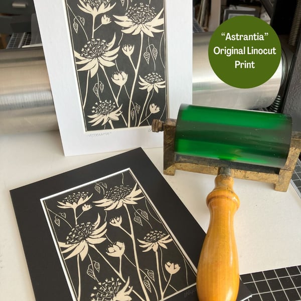 Linocut Print - Astrantia - Hand Printed - Flower Print
