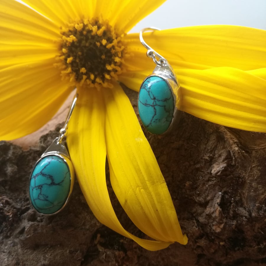 Turquoise set in sterling silver drop earrings