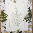 Bluebell handpainted original watercolour painting A4 mounted