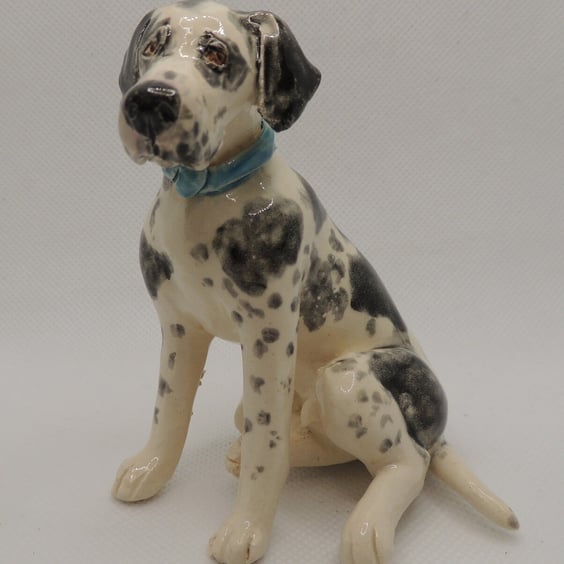 Ceramic Harlequin great dane sculpture 