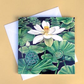 Greetings Card - Blank - Lotus