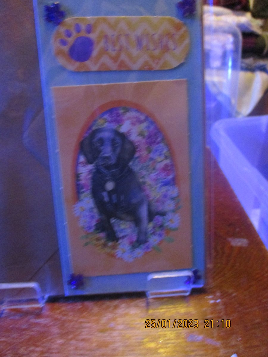 Best Wishes Dog Card