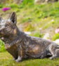 Foundry Bronze Sitting Corgi Statue Large Bronze Garden Sculpture - Image 3