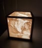 Customisable 5-Photo Lithophane Lamp – Personalised Light Box Memory Gift - Image 3
