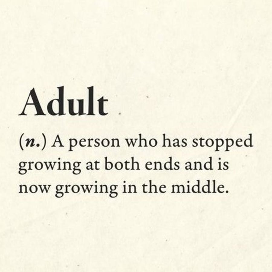 Definition of Adult Magnet