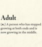Definition of Adult Magnet - Image 1
