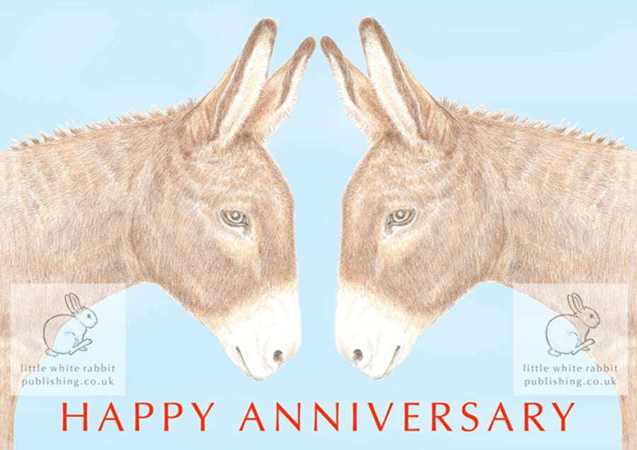 Two Donkeys Nose to Nose - Anniversary Card