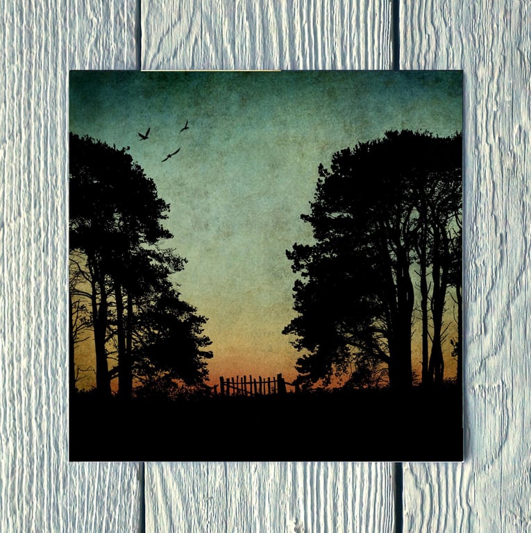 Trees at Dusk, Greetings Card