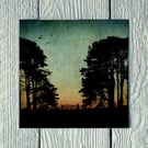 Trees at Dusk, Greetings Card