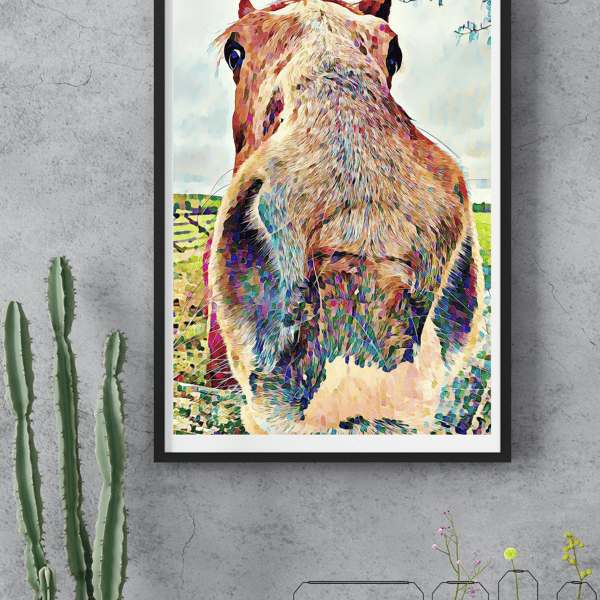 A Very Nosey Horse Signed &Mounted Photography Print Wall Art Display