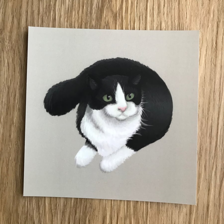 Black & White Cat Square Post Card Print