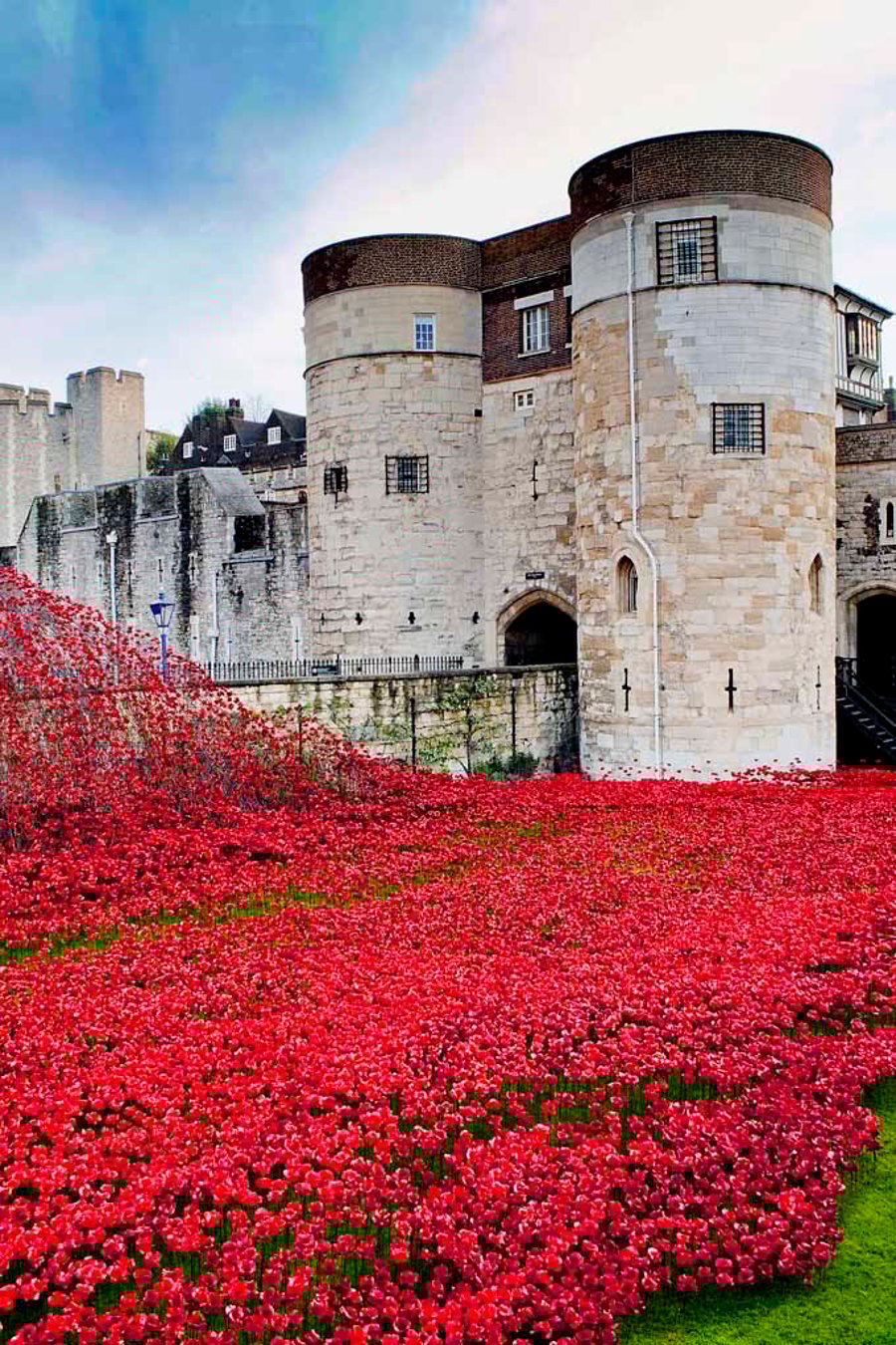 Tower of London Red Poppies England UK 12"x18" Print