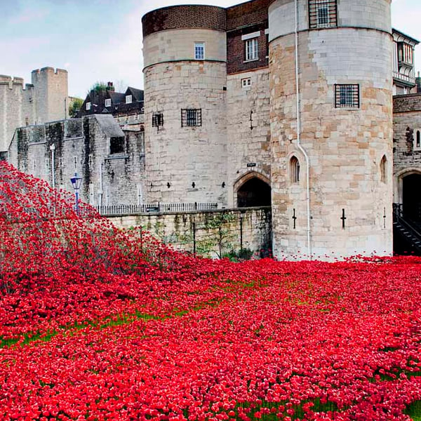 Tower of London Red Poppies England UK 12"x18" Print