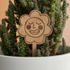 Happy face flower house plant decoration, gifts for women, indoor plants