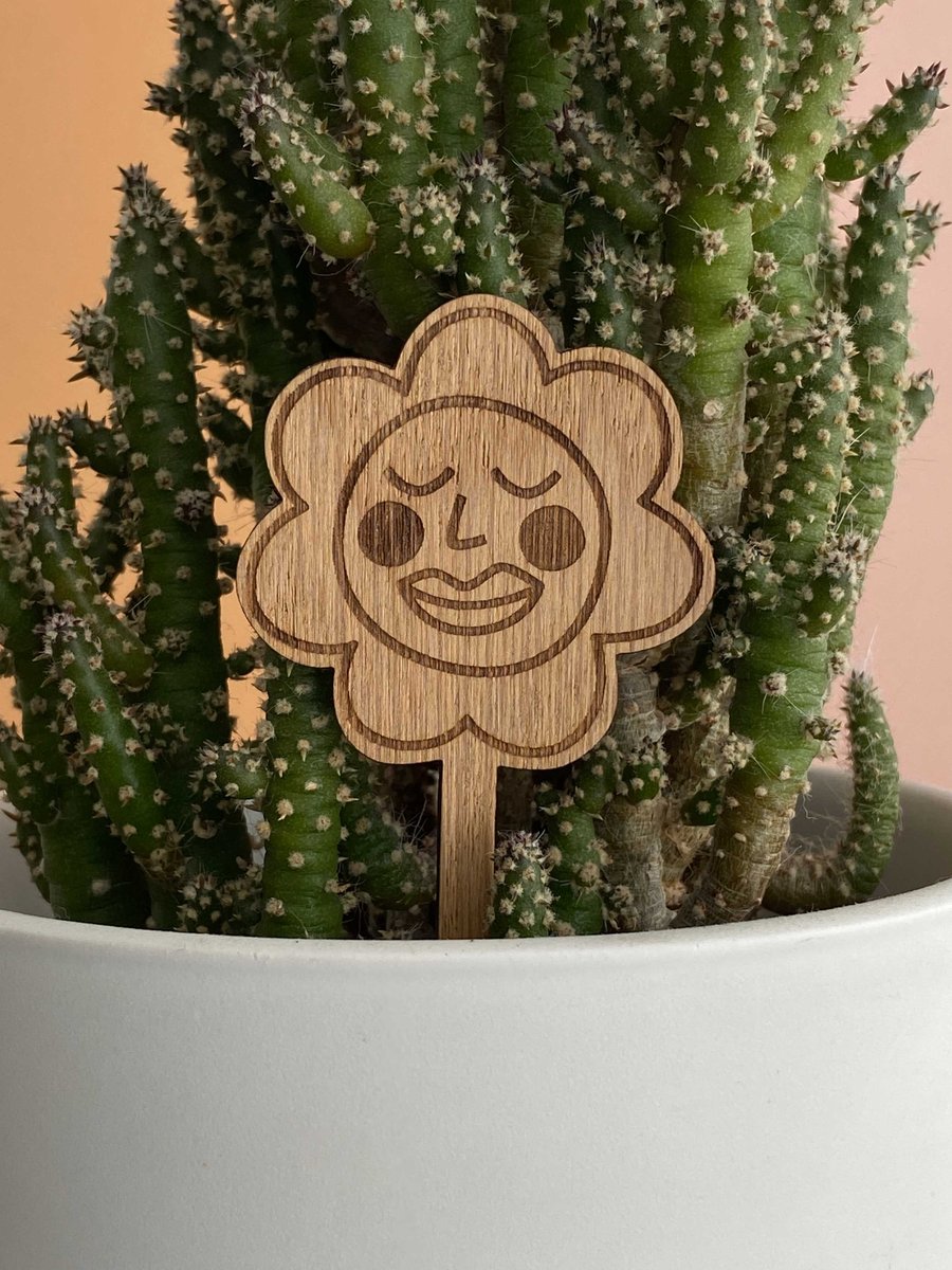 Happy face flower house plant decoration, gifts for women, indoor plants