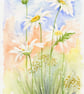 White Daisies with cow parsley in Norfolk watercolour painting - Image 2