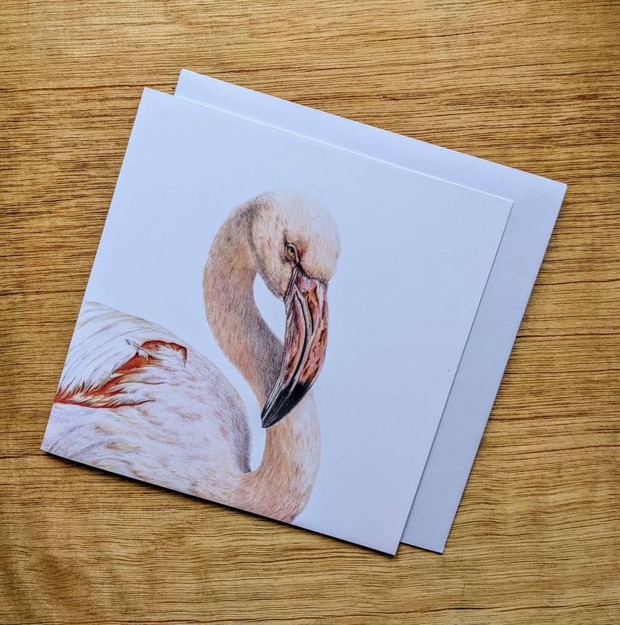 Flamingo Card, Bird Painting