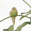 Bobby Budgie Plant Hugger Decoration Gift Card Letterbox Gift