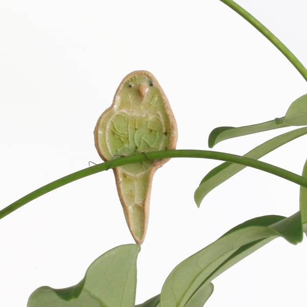 Bobby Budgie Plant Hugger Decoration Gift Card Letterbox Gift