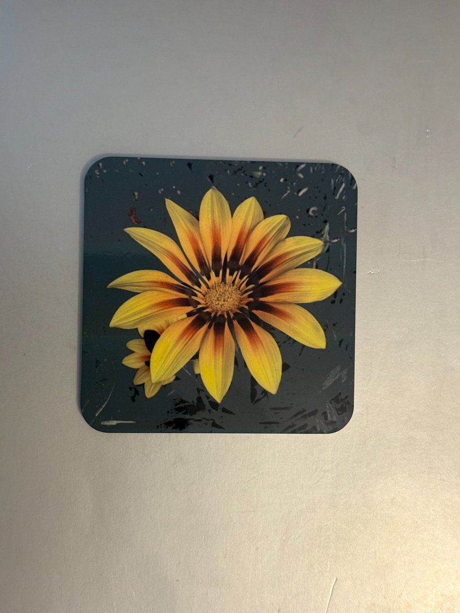 Gazania 9.5cm cork backed coaster 